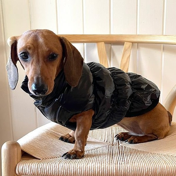 Dog Puffer Jacket – Tail Waggerz