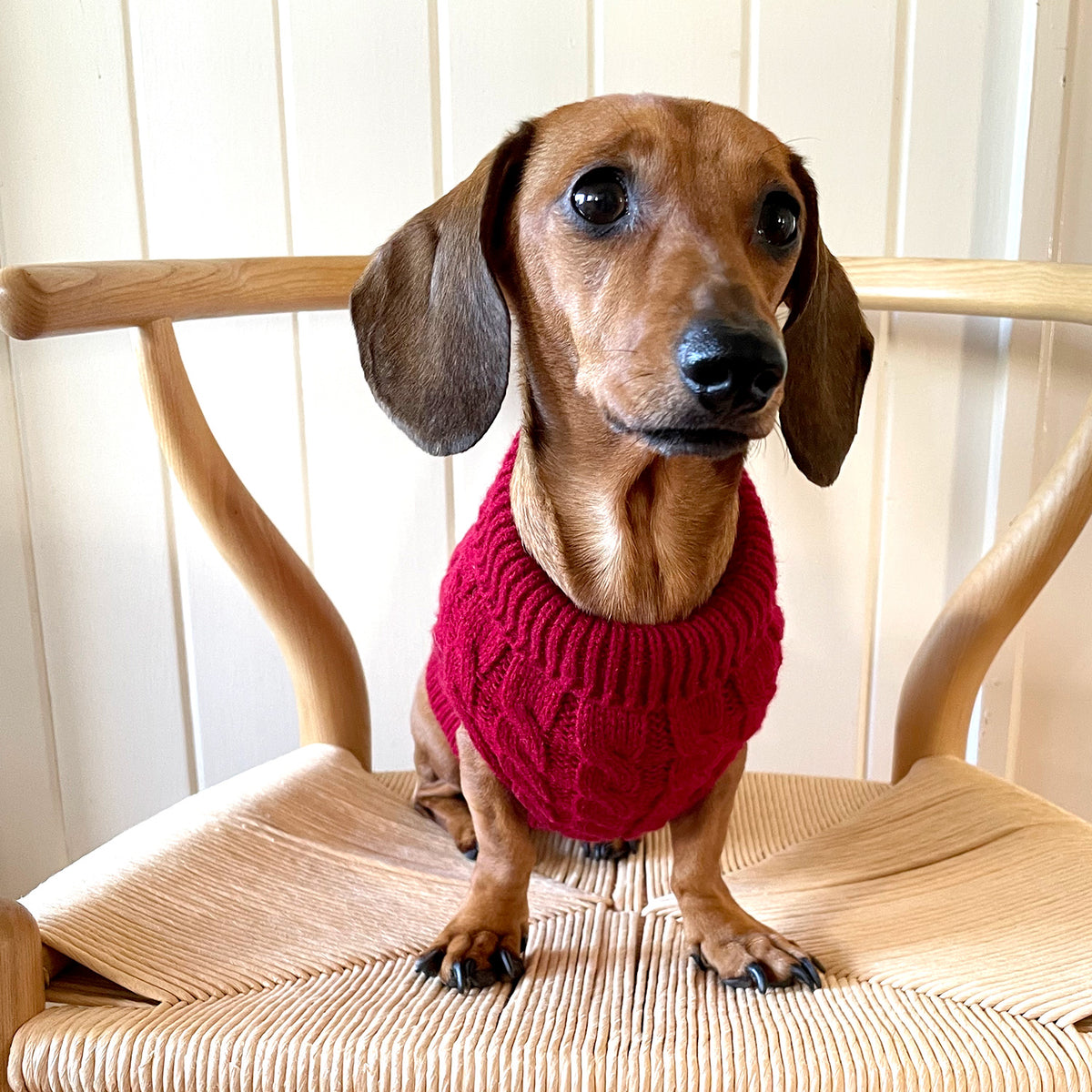 Dog winter cheap jumper