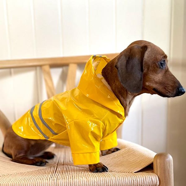 Dog Rain Coat by Tail Waggerz