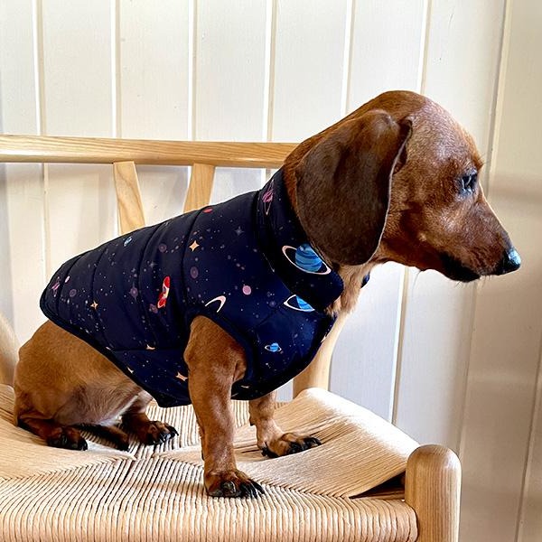 To the Moon and Back Winter Coat by Tail Waggerz